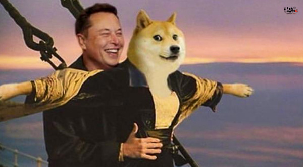 일론 머스크와 도지코인 시바견 타이타닉 패러디 합성 사진